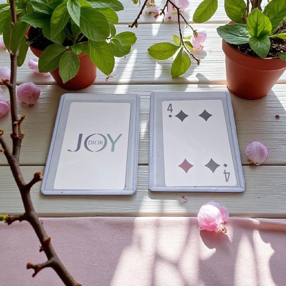 Dior Joy 4 of Diamonds! In Hard Cover!